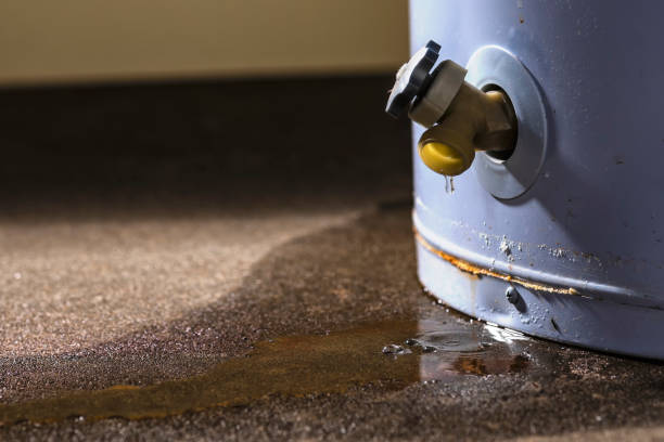 Best Commercial water damage restoration  in Gluckstadt, MS