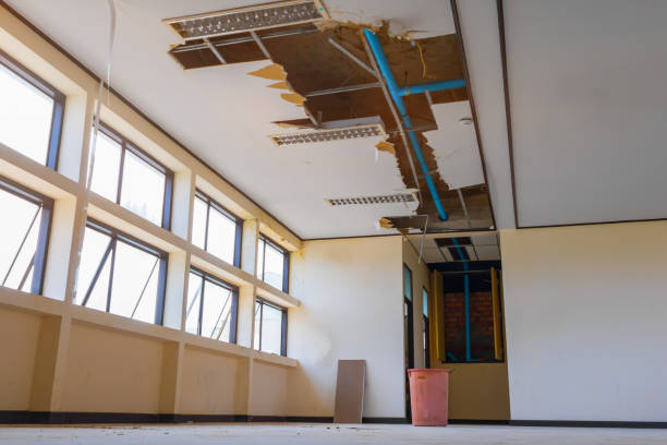 Best Flood restoration services  in Gluckstadt, MS