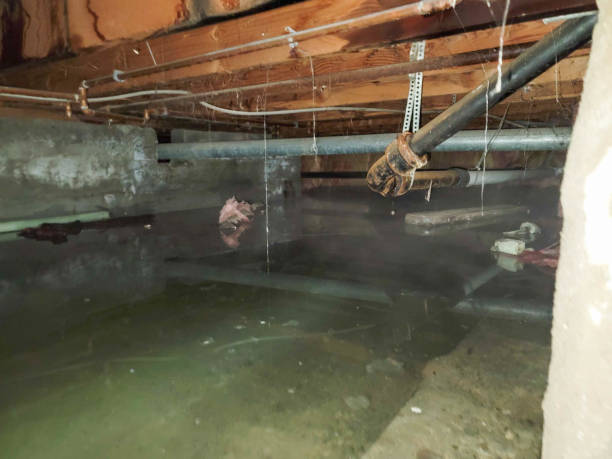 Best Emergency water damage restoration  in Gluckstadt, MS