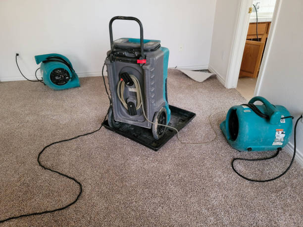 Best Water damage restoration near me  in Gluckstadt, MS