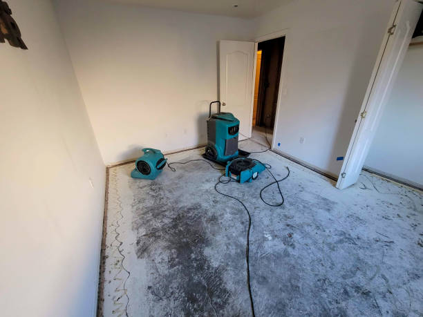  Gluckstadt, MS Water damage restoration Pros