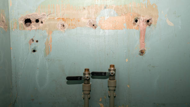Best Water damage restoration near me  in Gluckstadt, MS