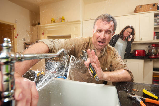 Best Flooded house restoration  in Gluckstadt, MS